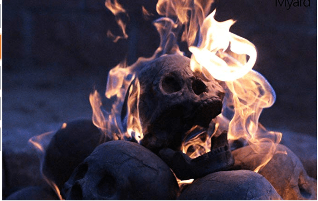 skull head log on fire