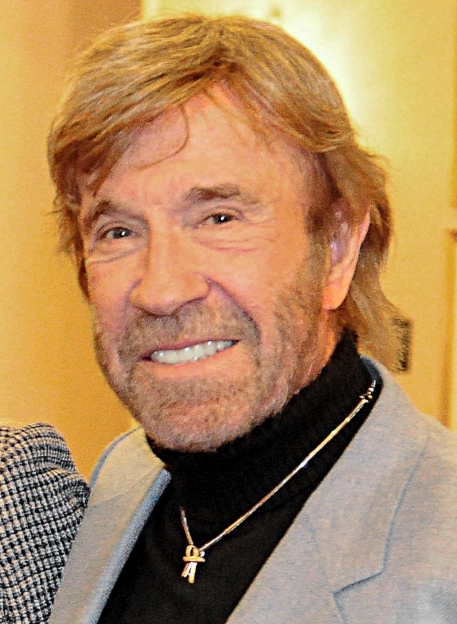 The 400 Facts About Chuck Norris Book 1 The 400 Facts About Chuck Norris Book 1