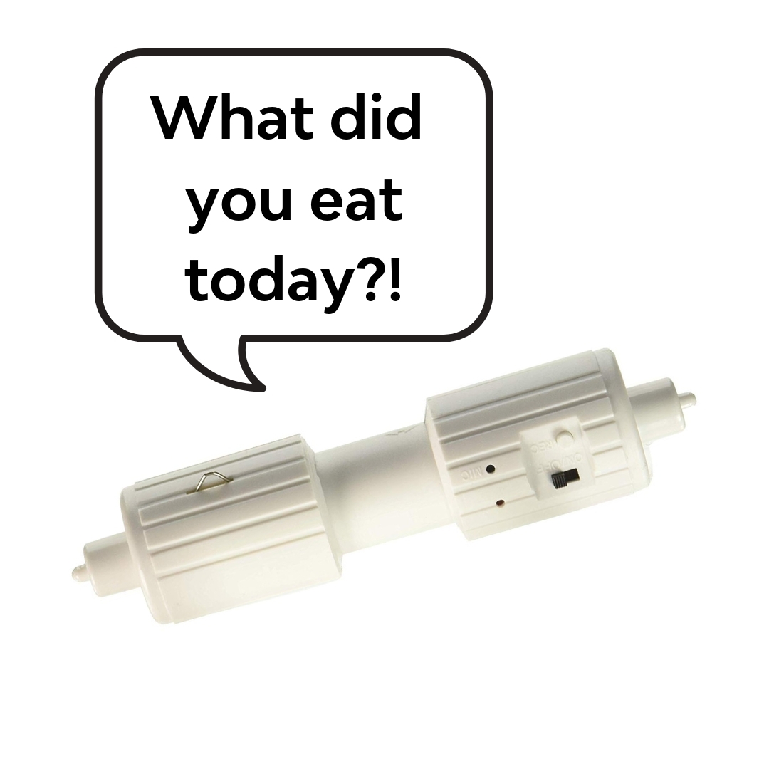 What did you eat today