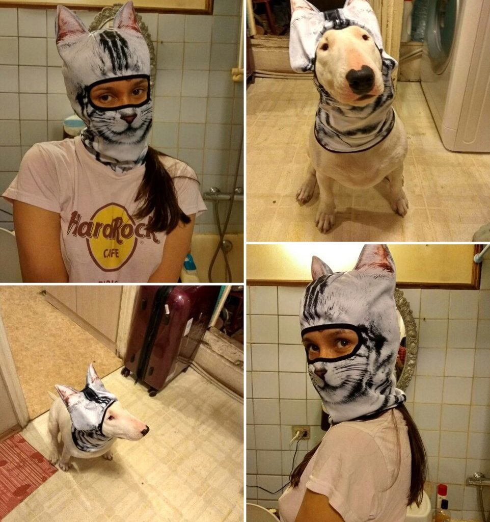 The Realistic Animal Face Masks 1 The Realistic Animal Face Masks 1