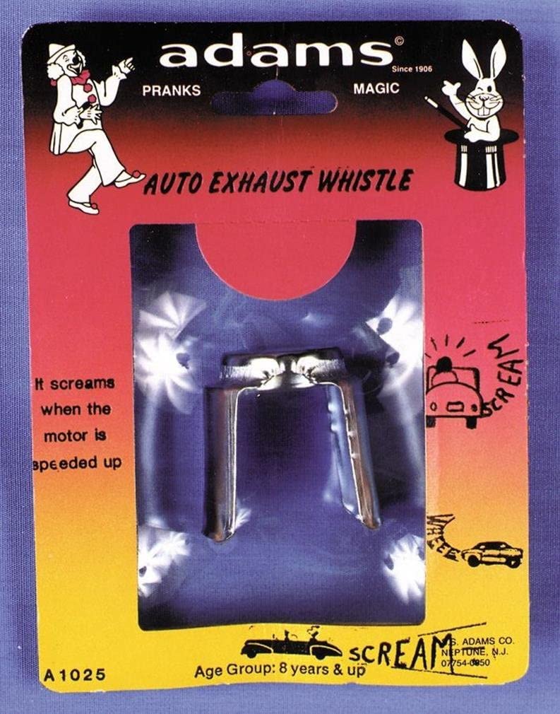 Car Exhaust Whistle Prank 6