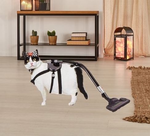 best-house-cat-vacuum