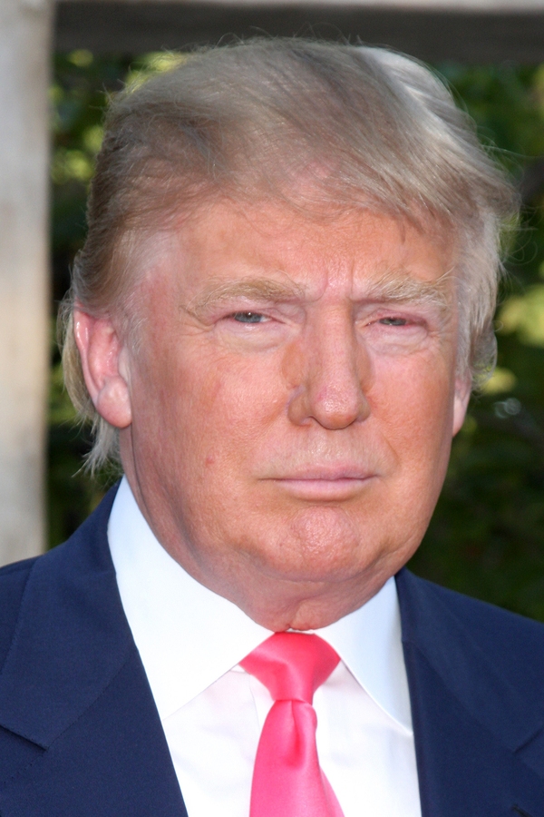 The Donald Trump, You’re Fired Button 8 The Donald Trump, You’re Fired Button 6