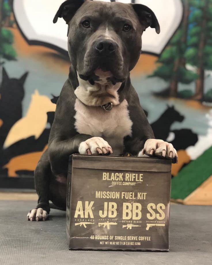 Black Rifle Coffee Supply Drop 5 picture of a dog with coffee