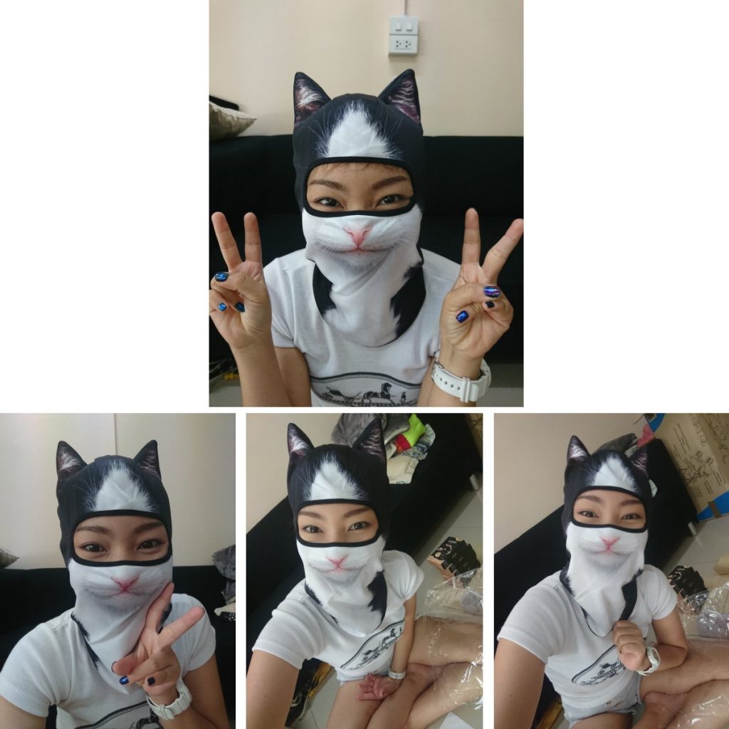 The Realistic Animal Face Masks 2 The Realistic Animal Face Masks 2