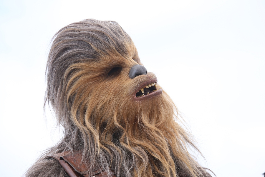 The Roaring Chewbacca Mask 5