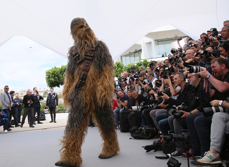 The Roaring Chewbacca Mask 7