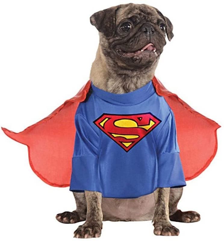 The Superman Dog Costume 19 The Superman Dog Costume 7