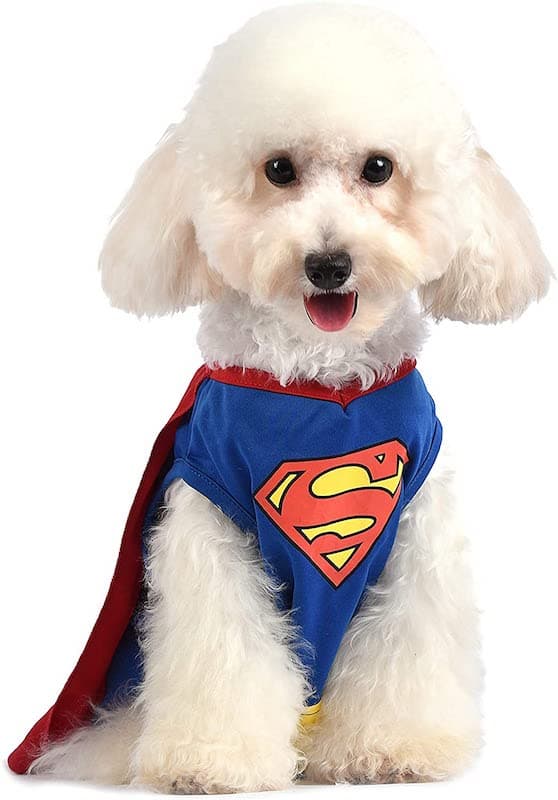 The Superman Dog Costume 11 The Superman Dog Costume 4