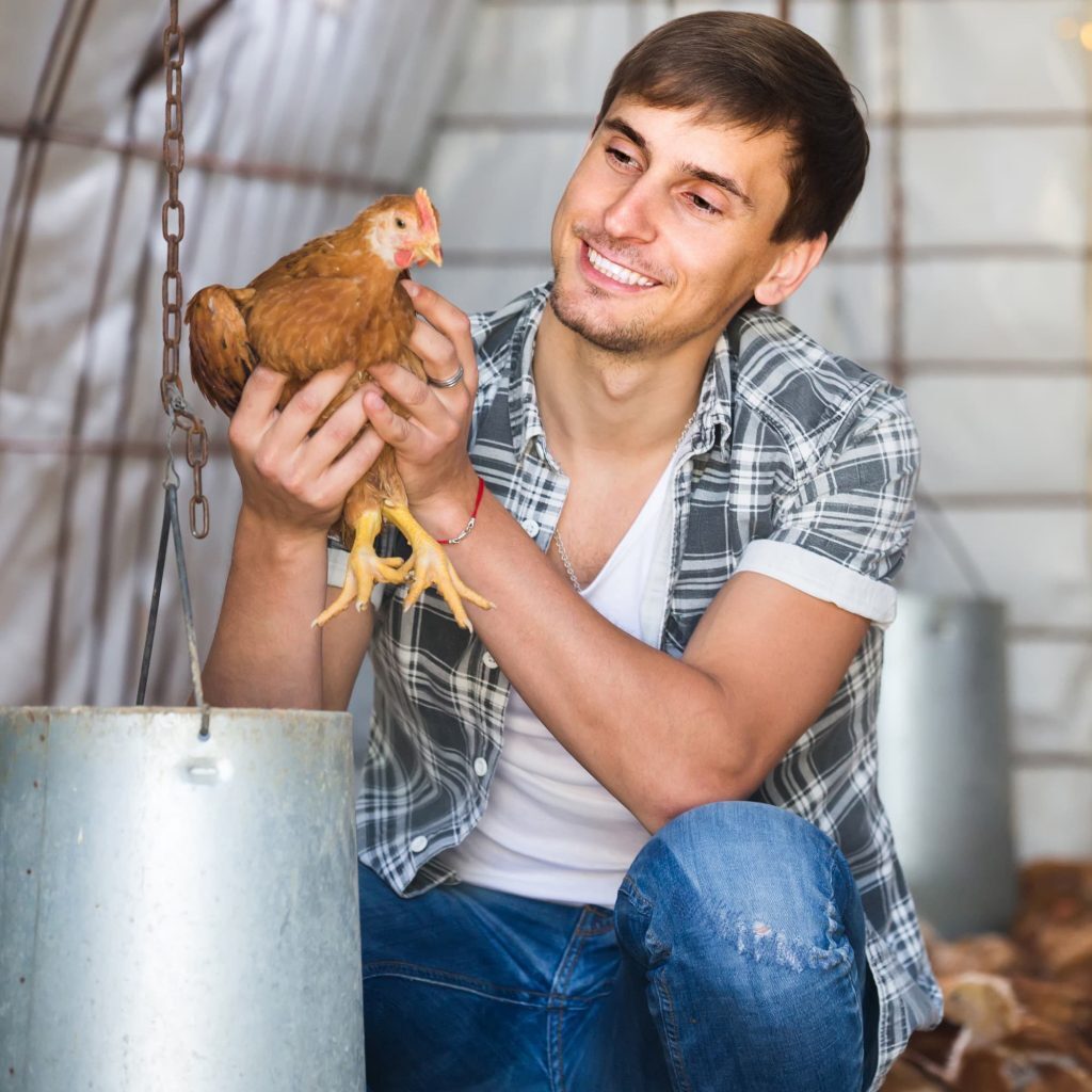 The Pet Chicken Leash 4 The Pet Chicken Leash 4