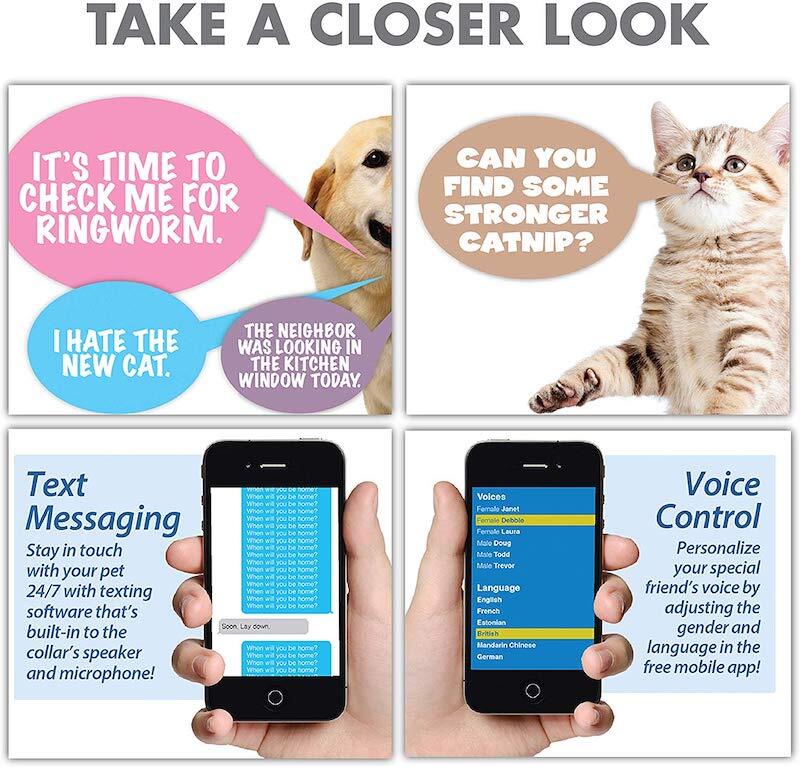 The Pet Translator Device 5 prank gift box