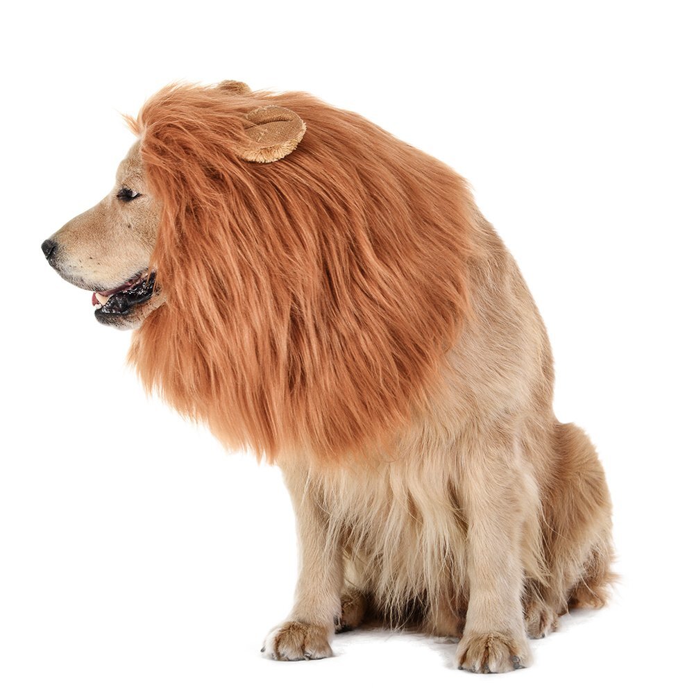 The Lions Mane For Dogs 5 lions mane costume for dogs