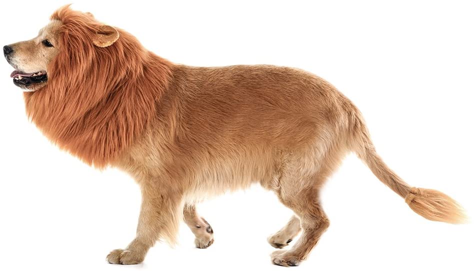 The Lions Mane For Dogs 11 lion wig costume