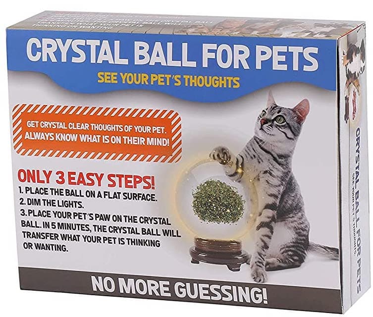 The Magic Crystal Ball for Pets 10 The Magic Crystal Ball for Pets 2