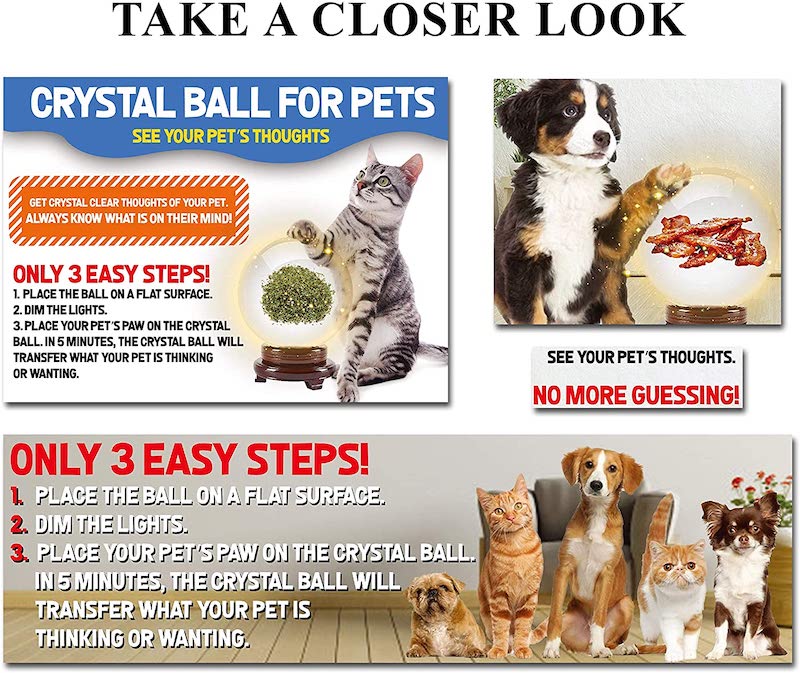 The Magic Crystal Ball for Pets 3 magic ball for pets