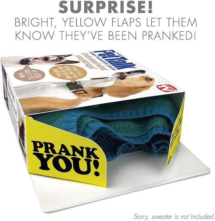 The Pet Translator Device 17 pet translator device prank