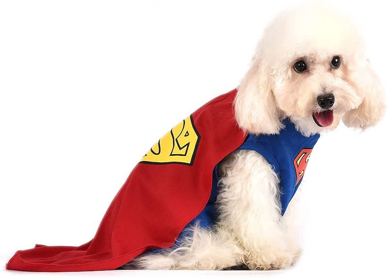 The Superman Dog Costume 13 The Superman Dog Costume 5