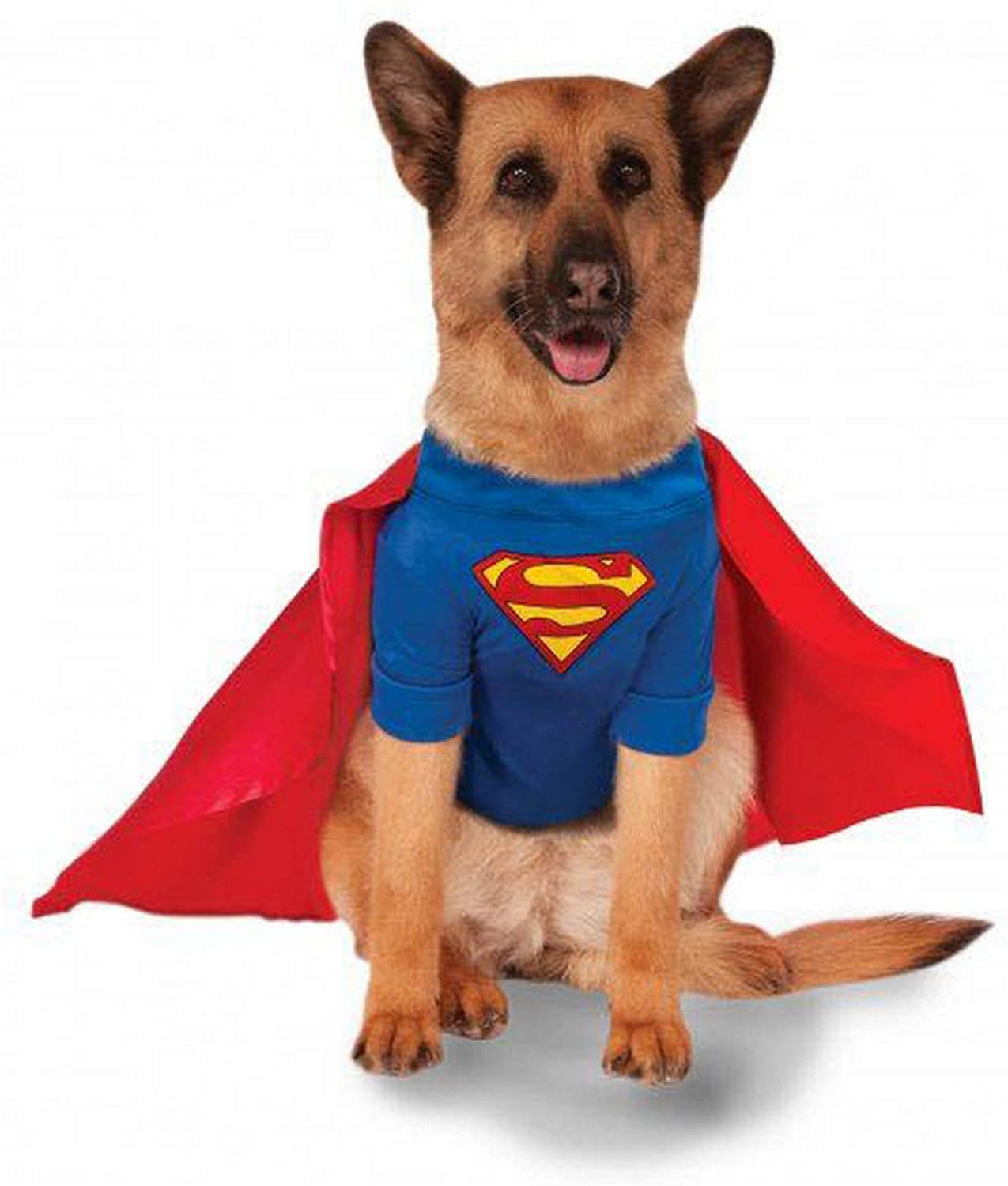 The Superman Dog Costume 15 The Superman Dog Costume 6