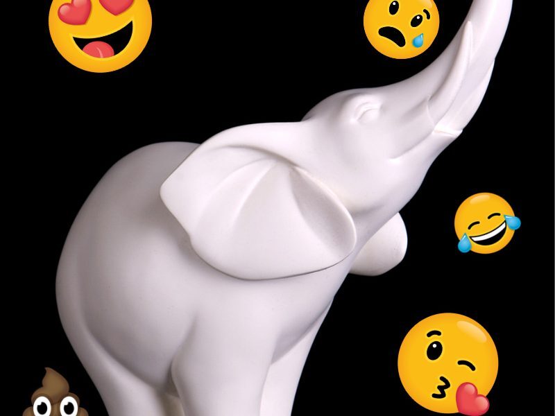 white-elephant-gifts